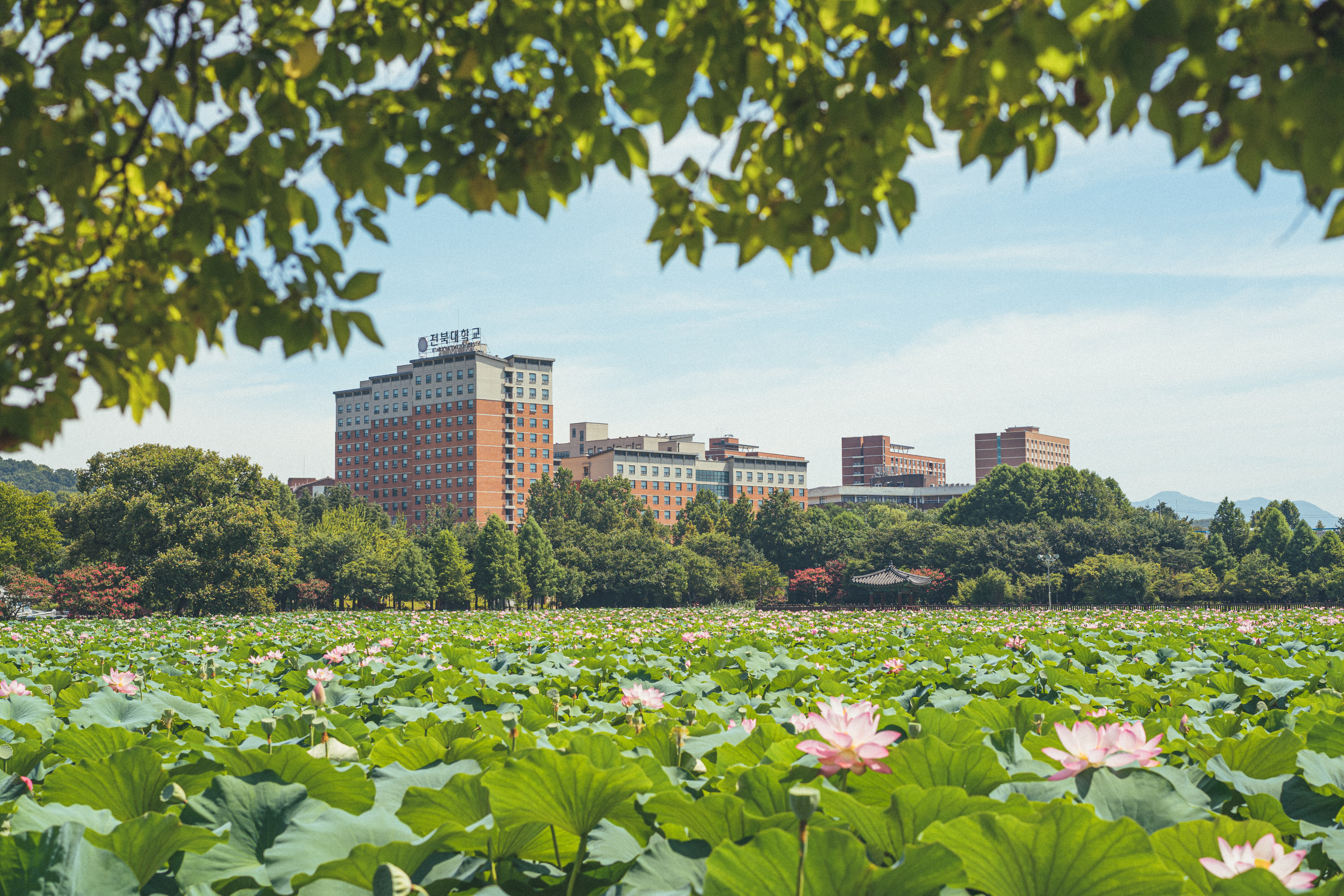 7. 전주캠퍼스 생활관